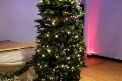 2017 Holiday Dance